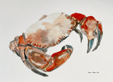 "Crabby 2" 21x30cm Fine Art Print