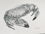 "Crabby 1" 21x30cm Fine Art Print